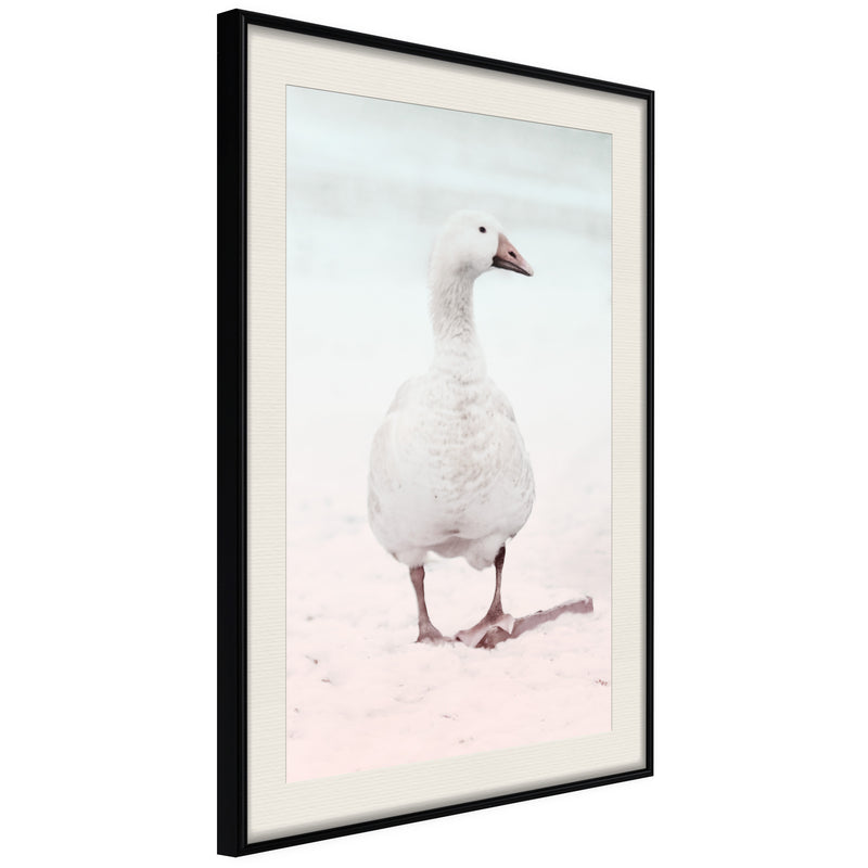 Poster - Walking Goose  - zwart passepartout