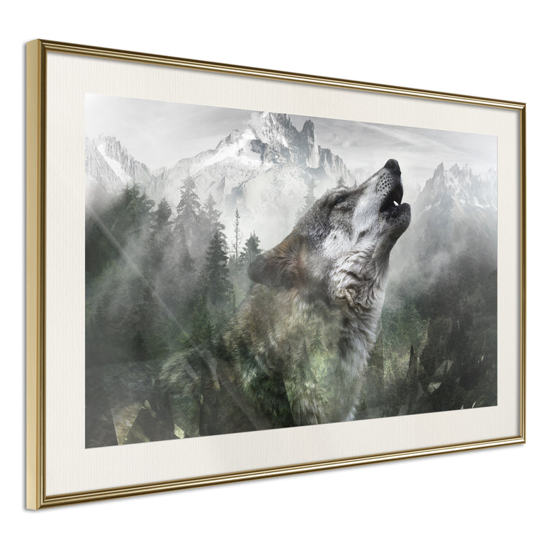 Poster - Wolf's Territory  - goud passepartout