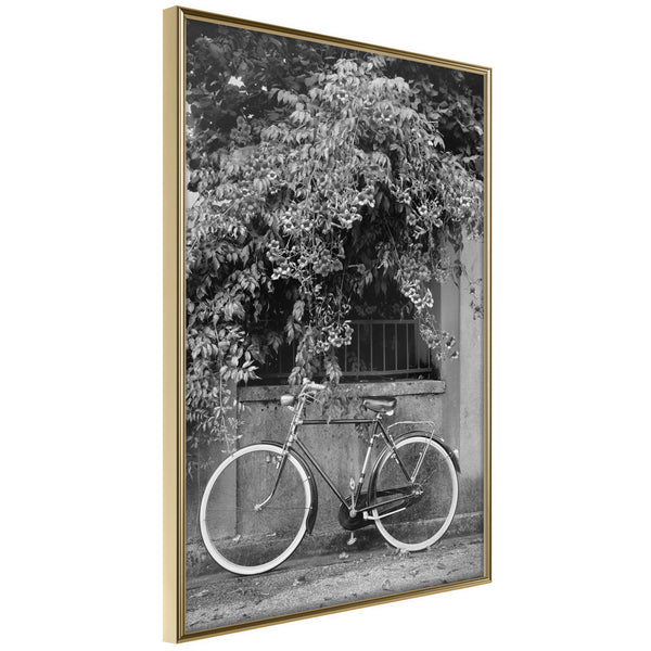 Poster - Bicycle with White Tires  - goud