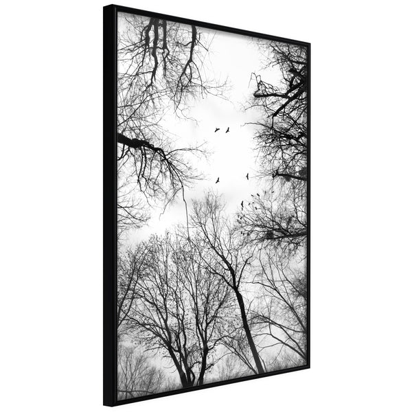 Poster - Treetops  - zwart