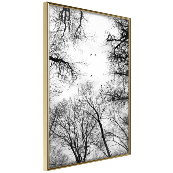 Poster - Treetops  - goud