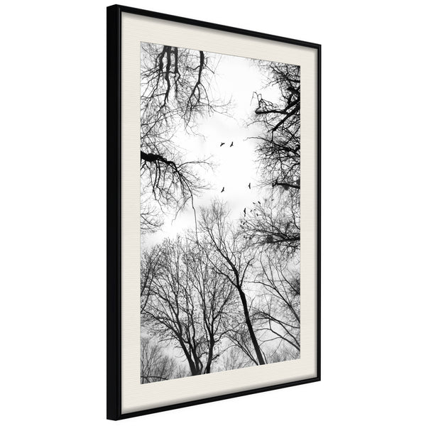 Poster - Treetops  - zwart passepartout