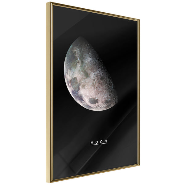 Poster - The Solar System: Moon  - goud