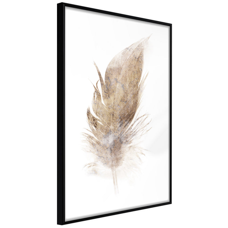 Poster - Lost Feather (Beige)  - zwart
