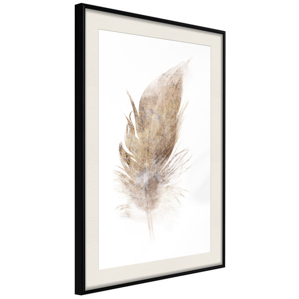 Poster - Lost Feather (Beige)  - zwart passepartout